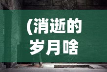 (消逝的岁月啥意思) 探索消逝的岁月：追忆那条曾经繁华昌盛的老街道，感受时代变迁的印记